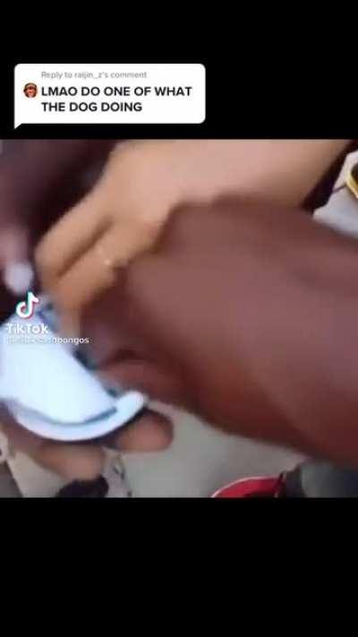 What are these called?