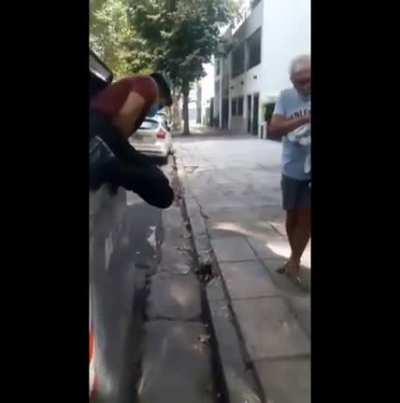 Perrita rescatada de un contenedor de basura antes de que el camión recolector pasara