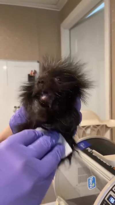 That last squeak 🥰