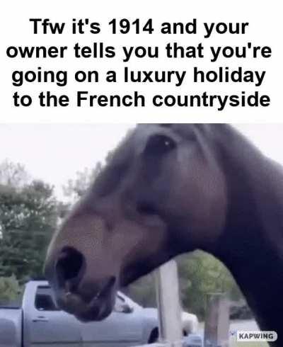 Ain't no sugar cubes where you're going, Shadow.