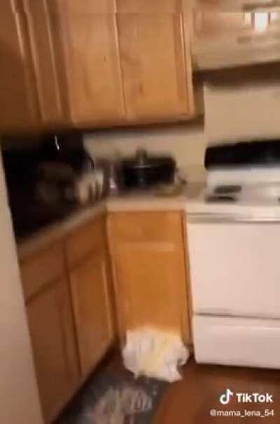 A treat for the TTCA veterans: Her house ain't fucking dirty!