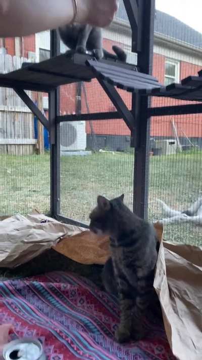 These dang squiggles!!