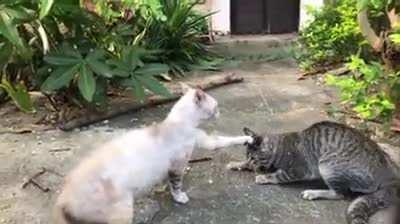 Release the evil spirit.....