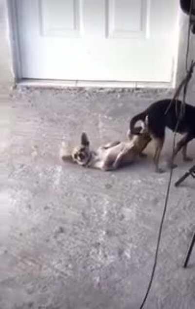 When breaking your foot off in someone's ass goes wrong