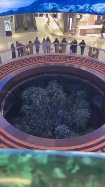 The Guardian of the Last Tree (Stats in comments)