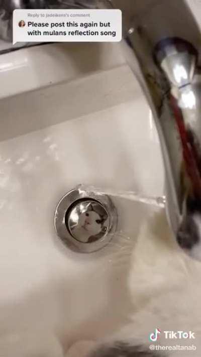 The Mulan remake looks adorable