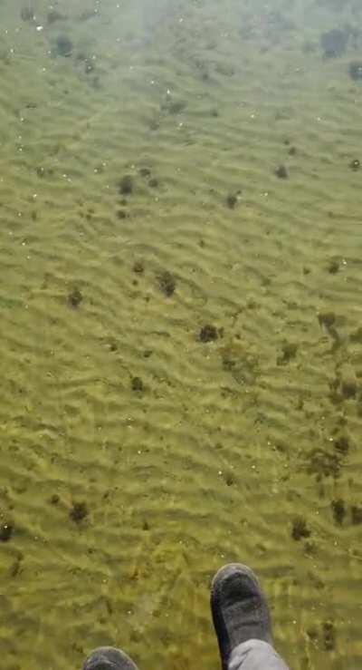 Ice is clear as glass on a lake in Northern Minnesota