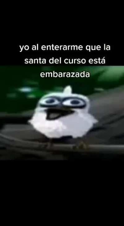 BeelcitosMemes - Video #3916