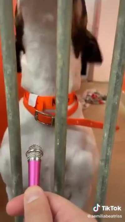 Glad to see someone doing important interviews