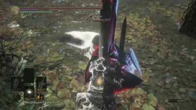 Most sane dark souls player