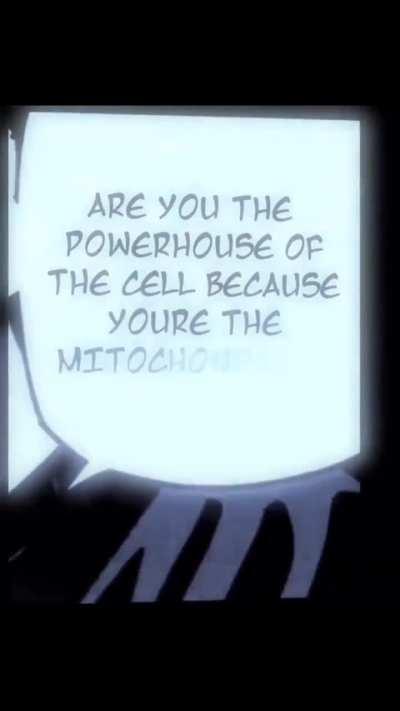 Los fans de jjk son la cosa más alucin y autista que he visto nunca jajajajaj