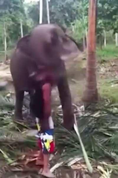 Never interrupt a lunch break....