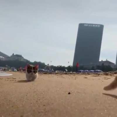 I will follow you wherever you may go