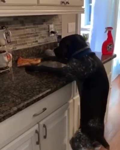 Not even a week into my diet.