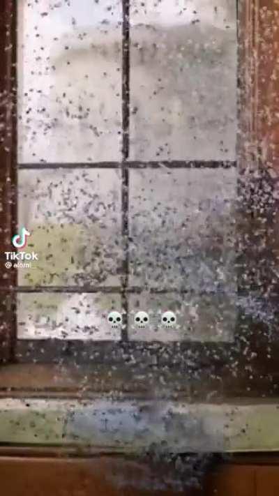 Receta de pollo 😍