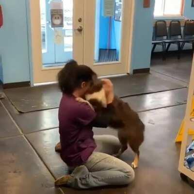 Doggo Freakout....I need a minute....