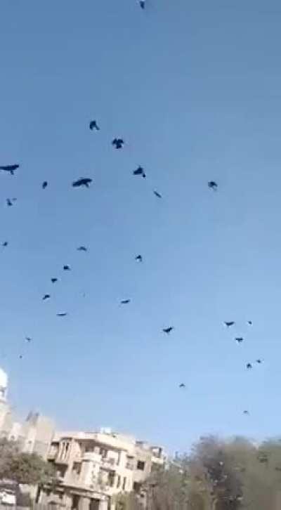 Om Puri in Delhi 6 be like