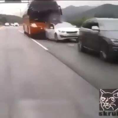 Magic school bus reboot is not looking so bad anymore