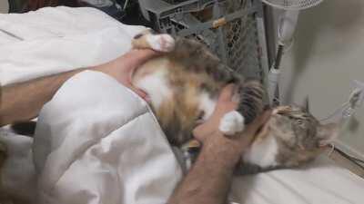 Dat tummy wiggle tho