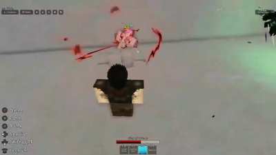 Apparently I can land a black flash with my mind 