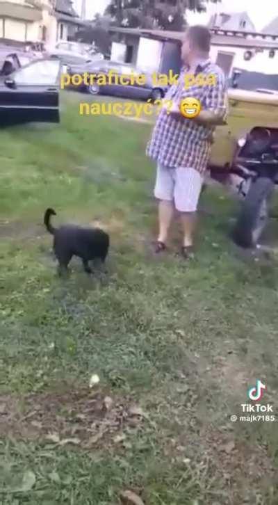 I did not expect that ending. Smartest dog ever 🎩