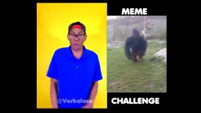 homemade almond milk = water ice salt