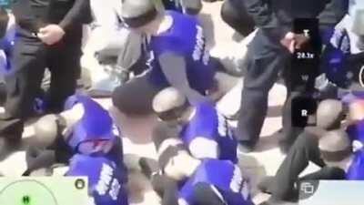 I wonder what happened to them