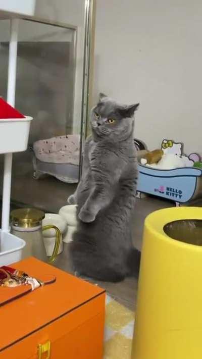 This alien has an amazing ability