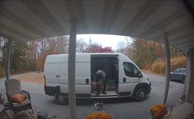 she found the holy grail of cardboard boxes and WAS NOT letting that go