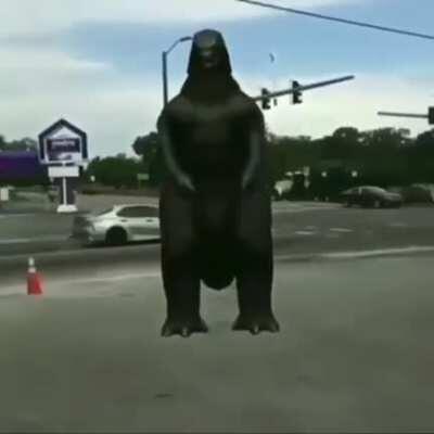 Godzilla Caught On Camera 😱😱😱