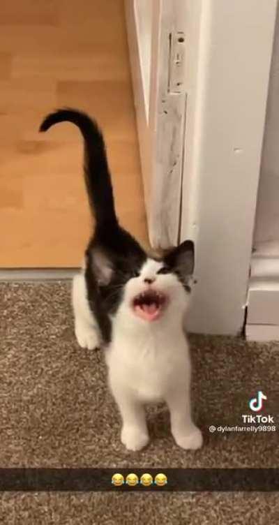 Prepare yourself for this battle cry