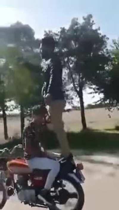 Not the smartest bunch I’ve seen