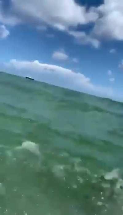 They call me Michael Phelps