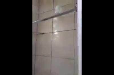 Woman showing an apartment in Rio de Janeiro