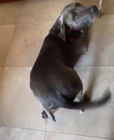 I need food mommy so here's my butt ( ͡° ͜ʖ ͡°)