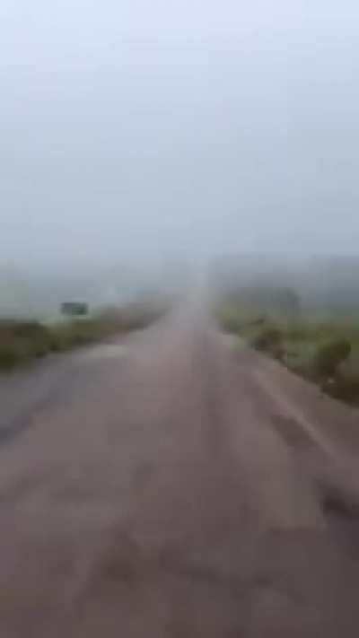 LOGO CEDO ESSE CAPETA