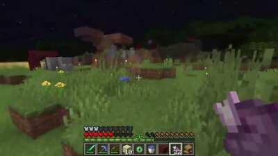 Chorus Fruit is a scam