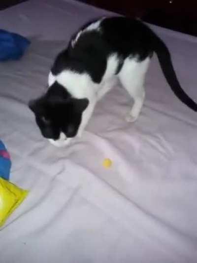 When your mother tells you this snacks smells bad, just believe her.