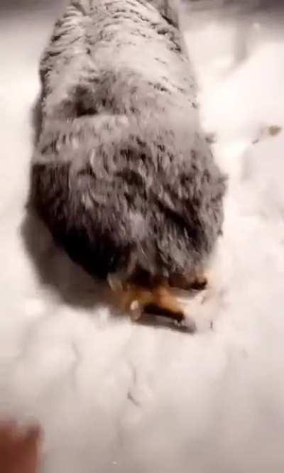 Finally, some decent weather