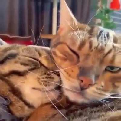 they're so in love <3