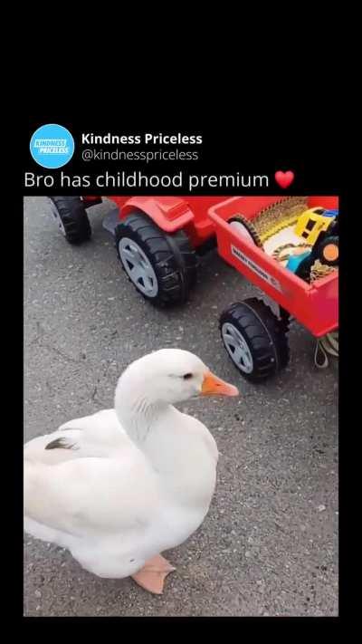 Disney protagonist be like 