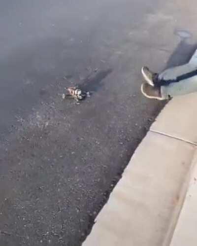 Here's the real 'yeet'.