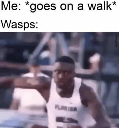 My first question is: Why?