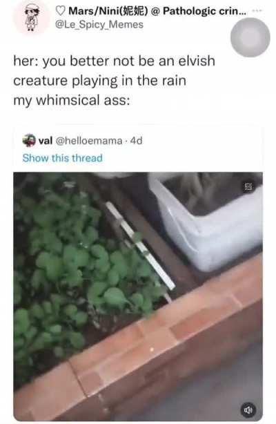 He sure is whimsical