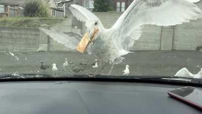 McD Apple Pie down the gullet