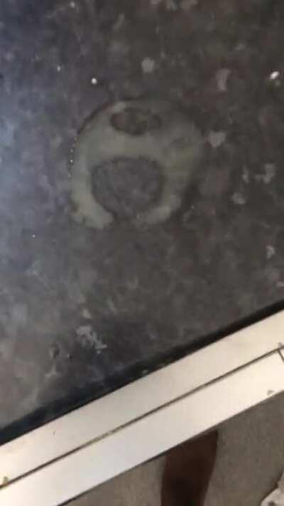 When the tea stain is sus