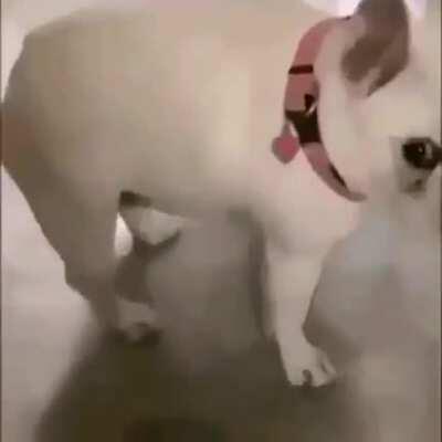 Vídeos, aleatórios