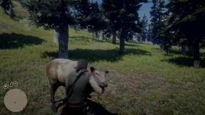 Monster hunter in a nutshell 