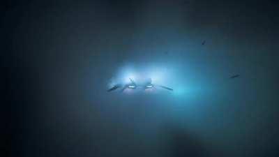 Beautiful night time snowstorm landing.