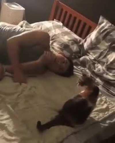 Monkey see, monkey do is not exclusive to monkeys